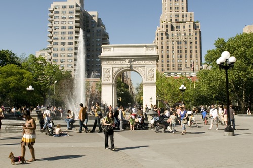 New York University