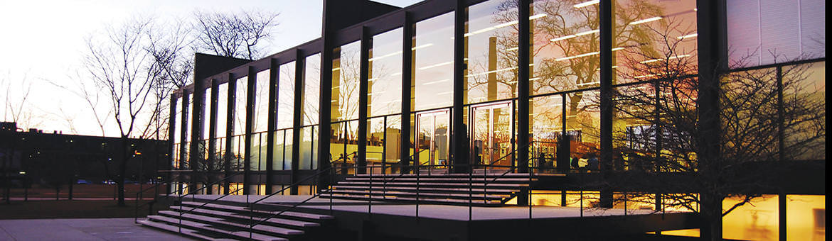 Illinois Institute of Technology
